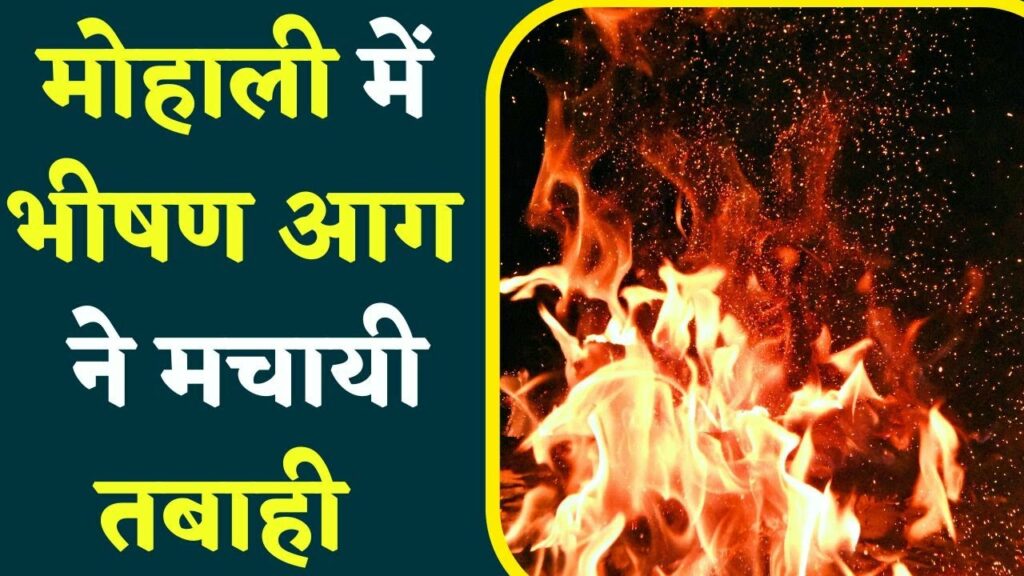 fire broke in chemical factory in mohali