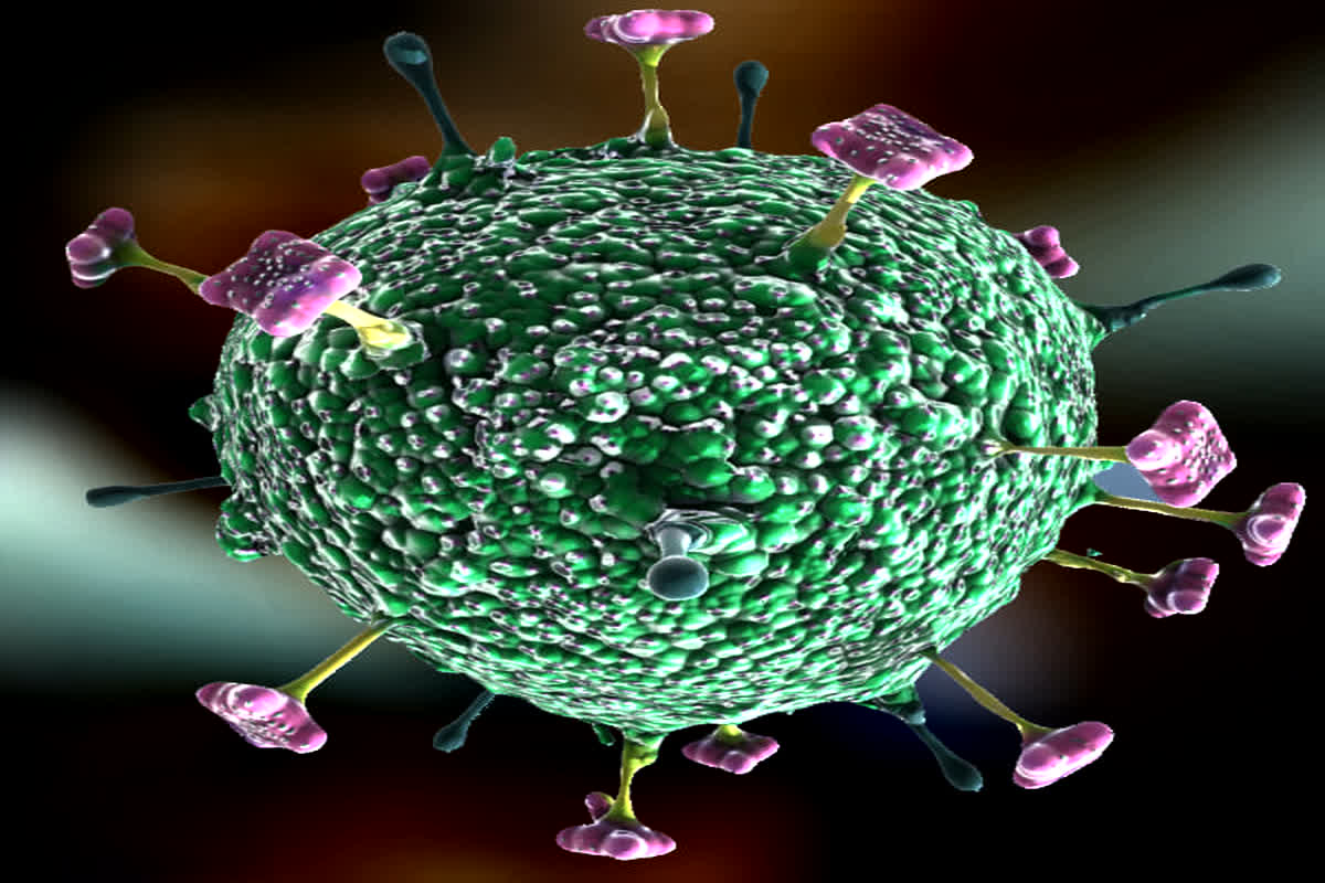 Nipah Virus : निपाह वायरस से बचने के लिए करें ये पांच उपाय, संक्रमित व्यक्ति में नजर आते हैं ऐसे लक्षण
