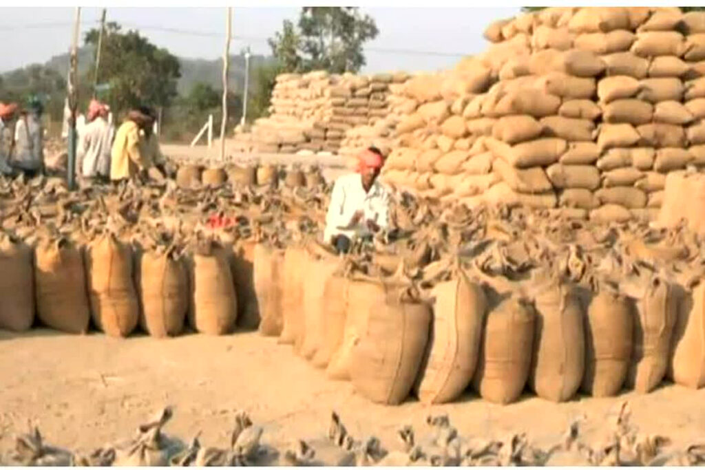 Big update regarding paddy procurement: