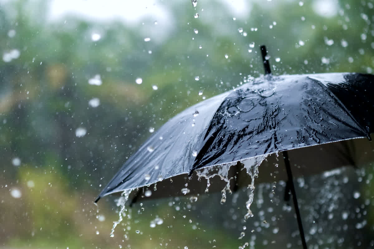 MP Weather Update: प्रदेश में आज और कल होगी तूफानी बारिश, जमकर बरसेंगे बदरा, 35 जिलों में यलो अलर्ट जारी 