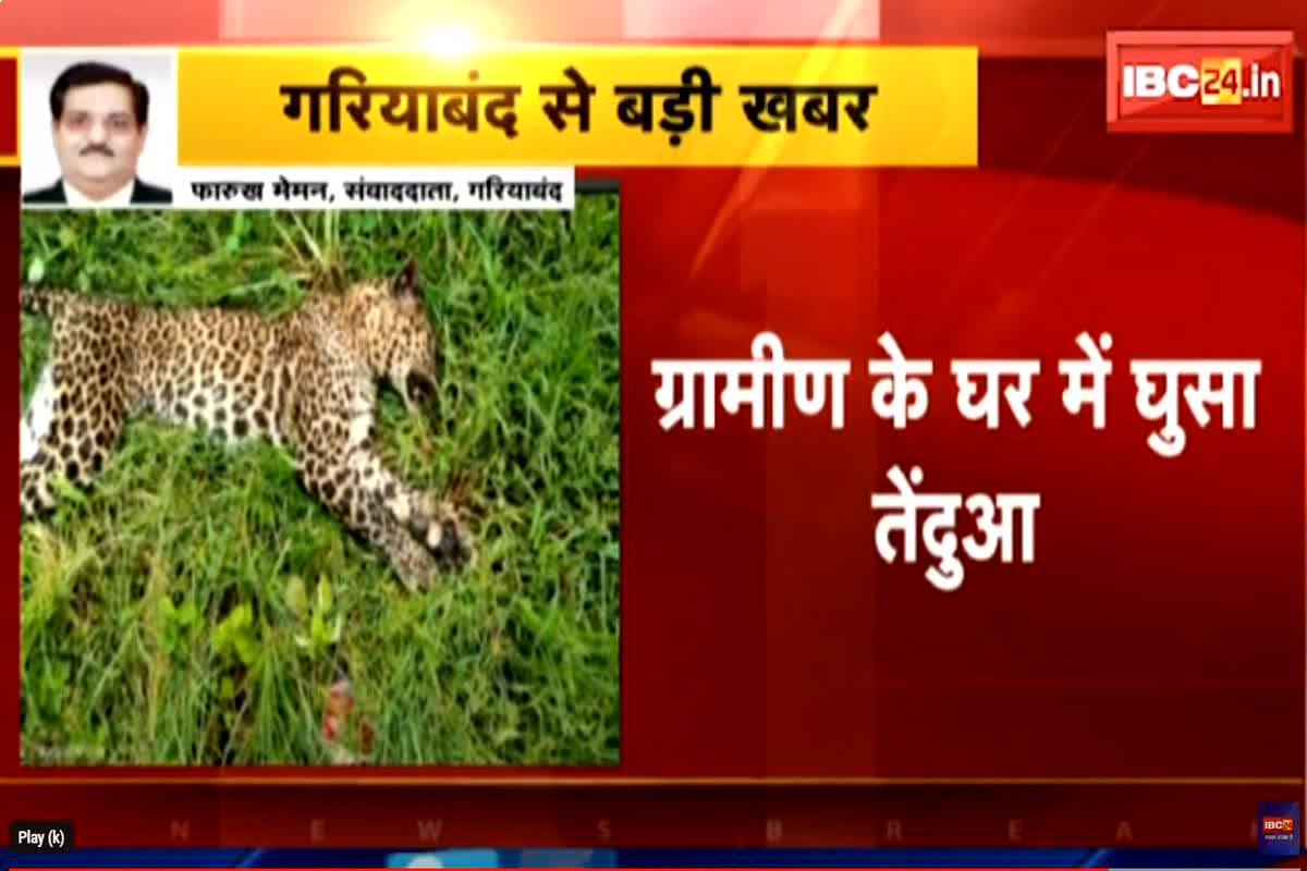Leopard Attacked: घर में घुस कर पिता-पुत्र पर तेंदुआ ने किया हमला, बाहर भागते ही हुई तेंदुए की मौत