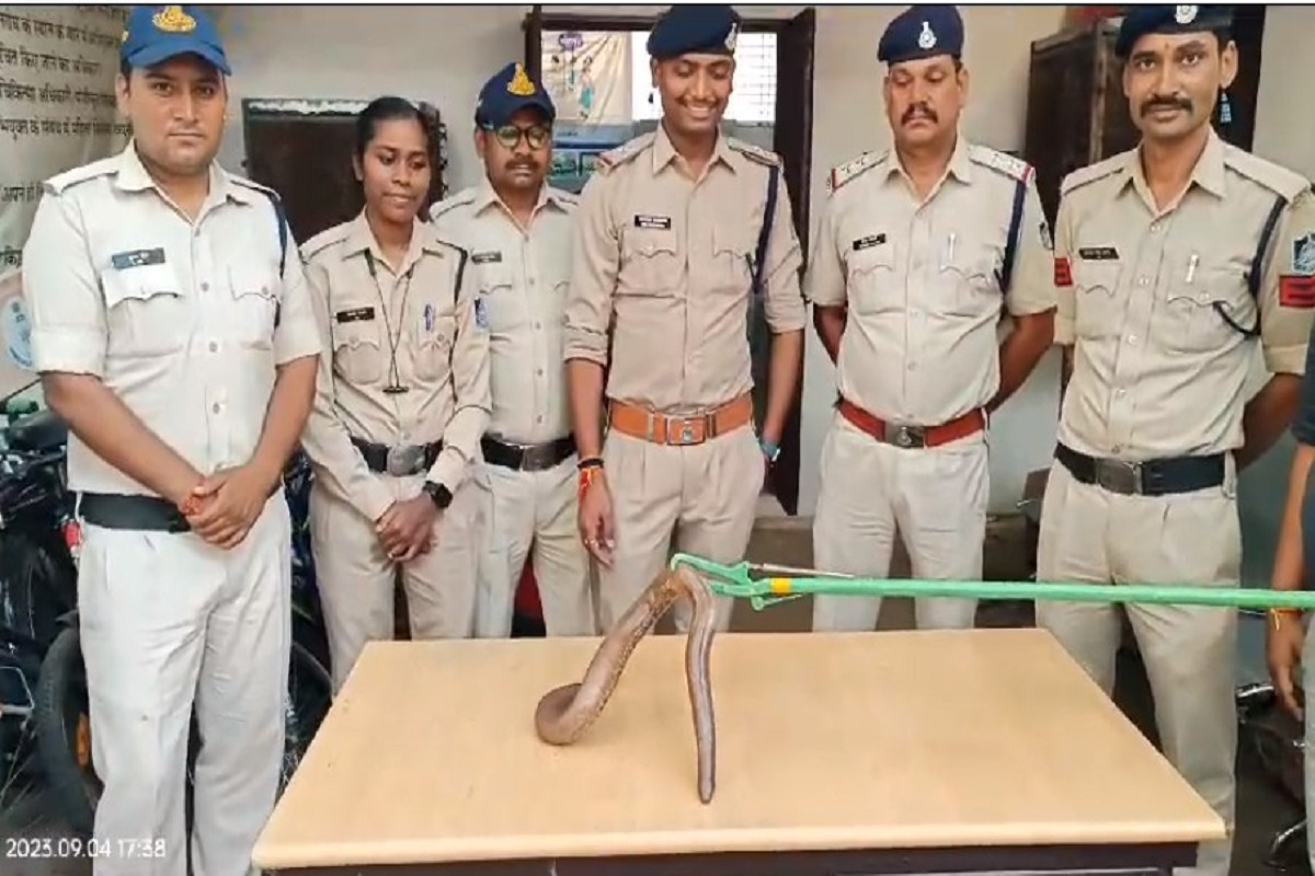 Two-headed snake: स्कूल वैन में मिला दो मुंह वाला सांप, देखकर आप भी रह जाएंगे हैरान, पुलिस ने किया रेस्क्यू
