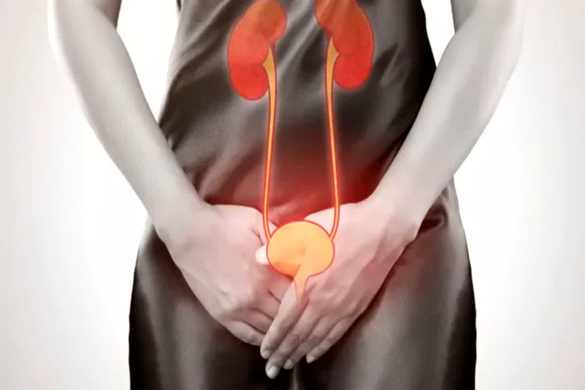 Smelly Urine Symptoms Of Diseases: आपके भी यूरिन से आती है बदबू तो हो जाएं सावधान! हो सकती है ये घातक बीमारियां