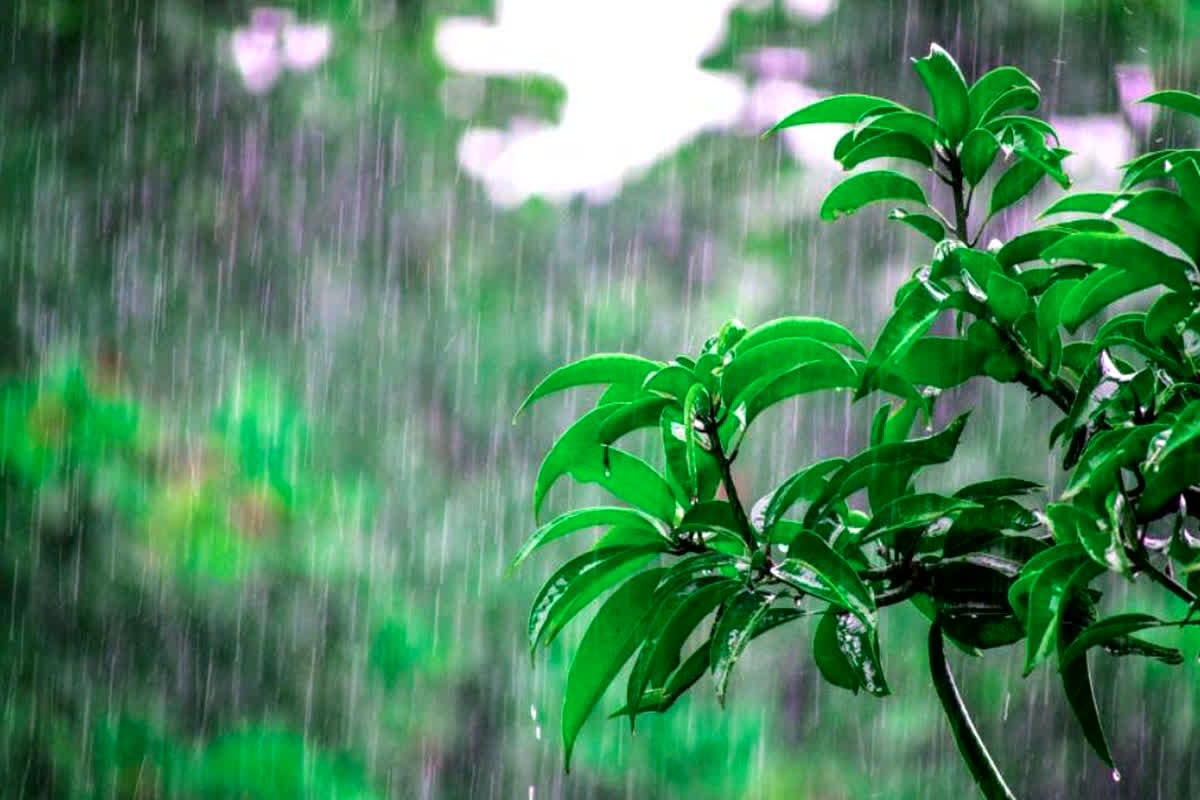 Weather Update Today : छत्तीसगढ़-मध्य प्रदेश समेत इन राज्यों में होगी भारी बारिश, मौसम विभाग ने जारी किया अलर्ट