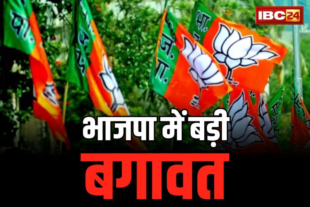 CG Dongargarh Assembly Seat