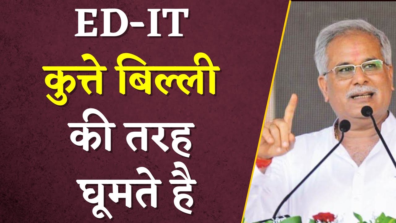 Ed IT कुत्ते-बिल्ली की तरह घूमते है – CM Bhupesh Baghel ने दिया बड़ा बयान |
