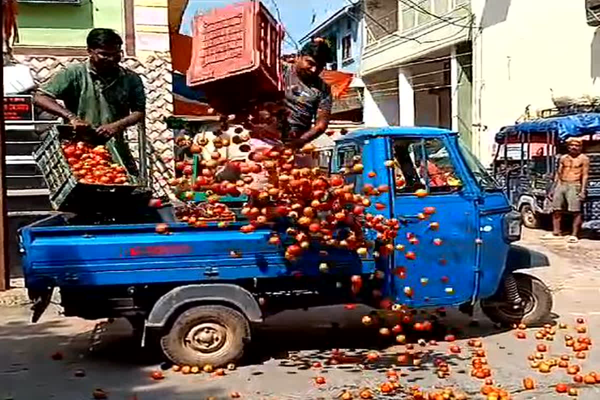 Tomatoes Thrown On The Road