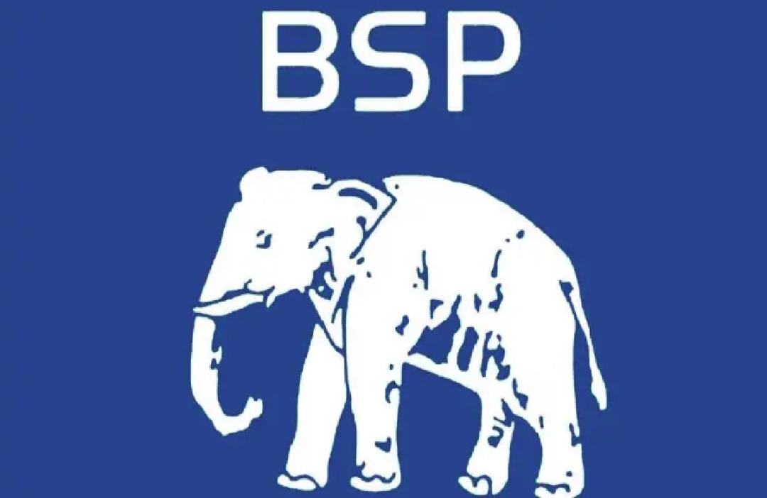 MP BSP 12th candidates list released : बसपा ने जारी की उम्मीदवारों की 12वीं सूची, इन नामों का किया ऐलान