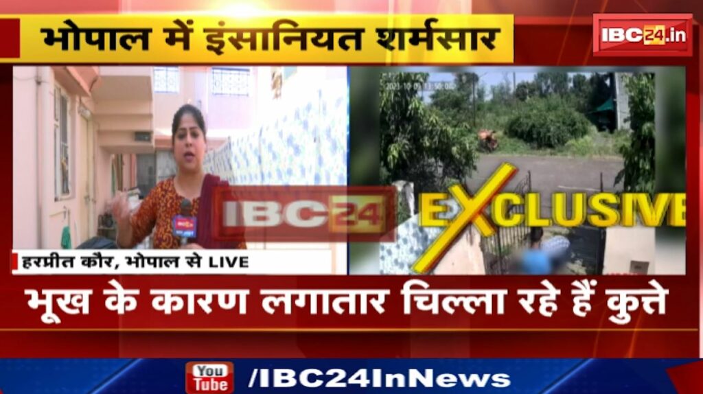 Bhopal Dog Viral Video