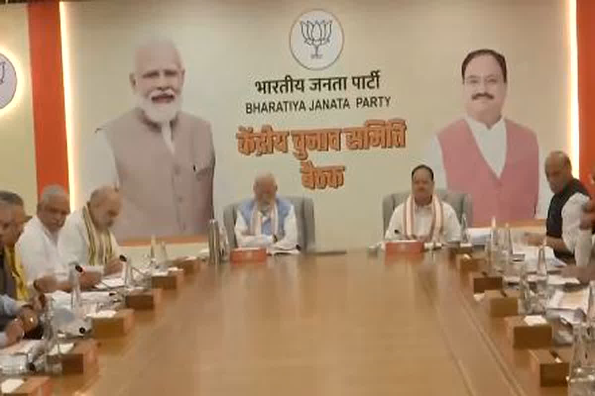 CG BJP 2nd List 2023: भाजपा की दूसरी सूची में 28 नामों पर बनी सहमति, 7 महिलाओं को दिया गया मौका, देखिए कौन हो सकते हैं चुनावी मैदान में