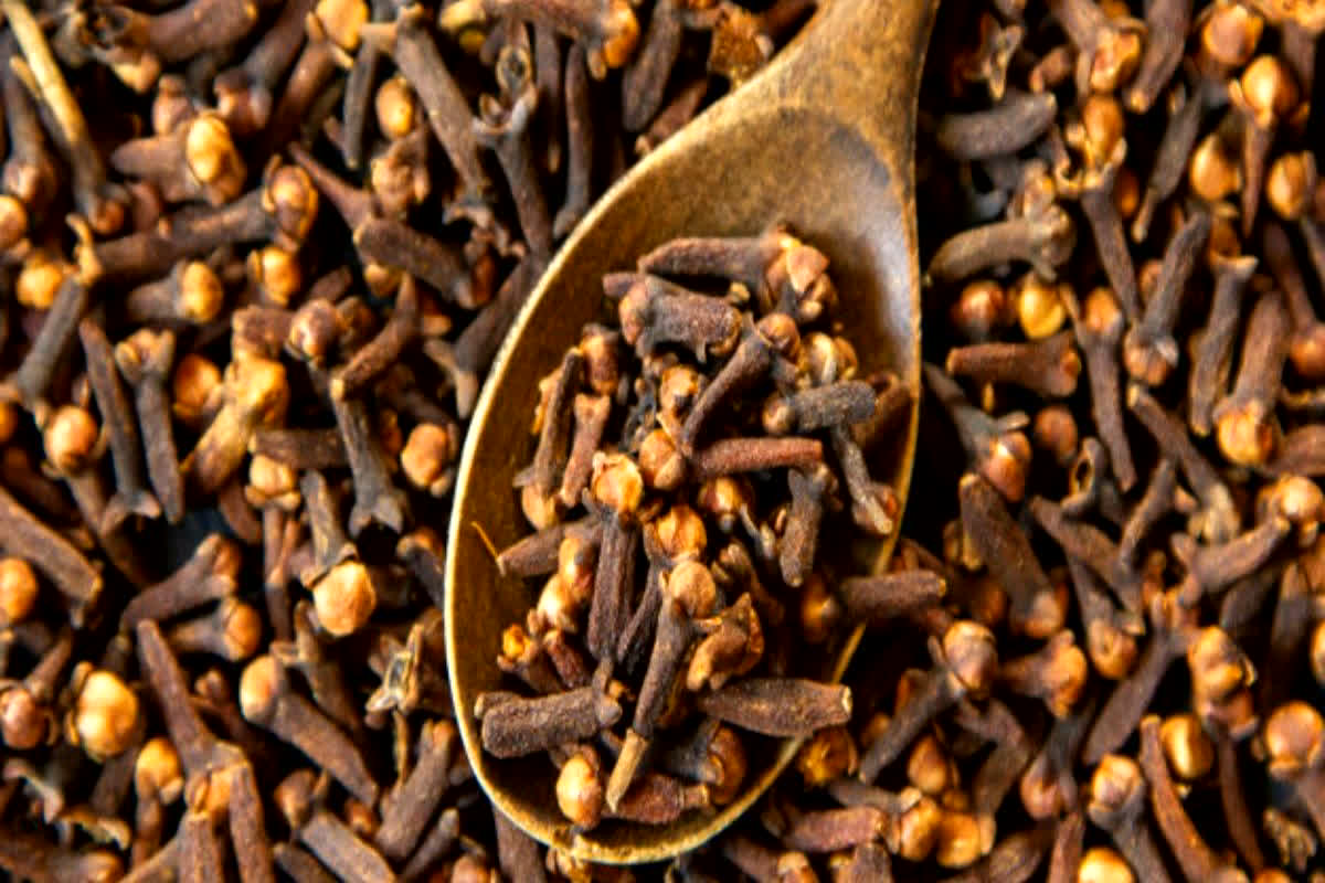 Benefits Of Cloves : सुबह खाली पेट चबाएं लौंग, फायदे जानकर आप भी हो जाएंगे हैरान