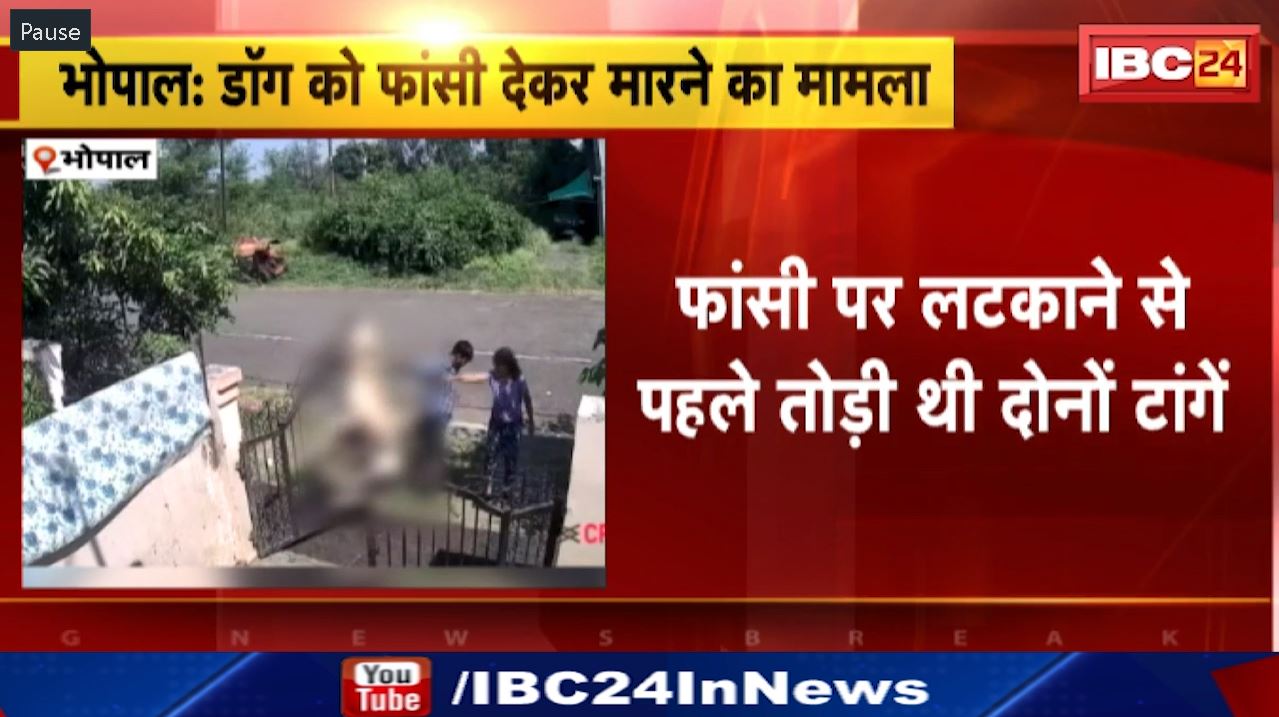Dog Killed by Hanging : फांसी पर लटकाने से पहले तोड़ी थी दोनों टांगें | ट्रेनर ने ब्रीडिंग करवाकर उतारा था मौत के घाट