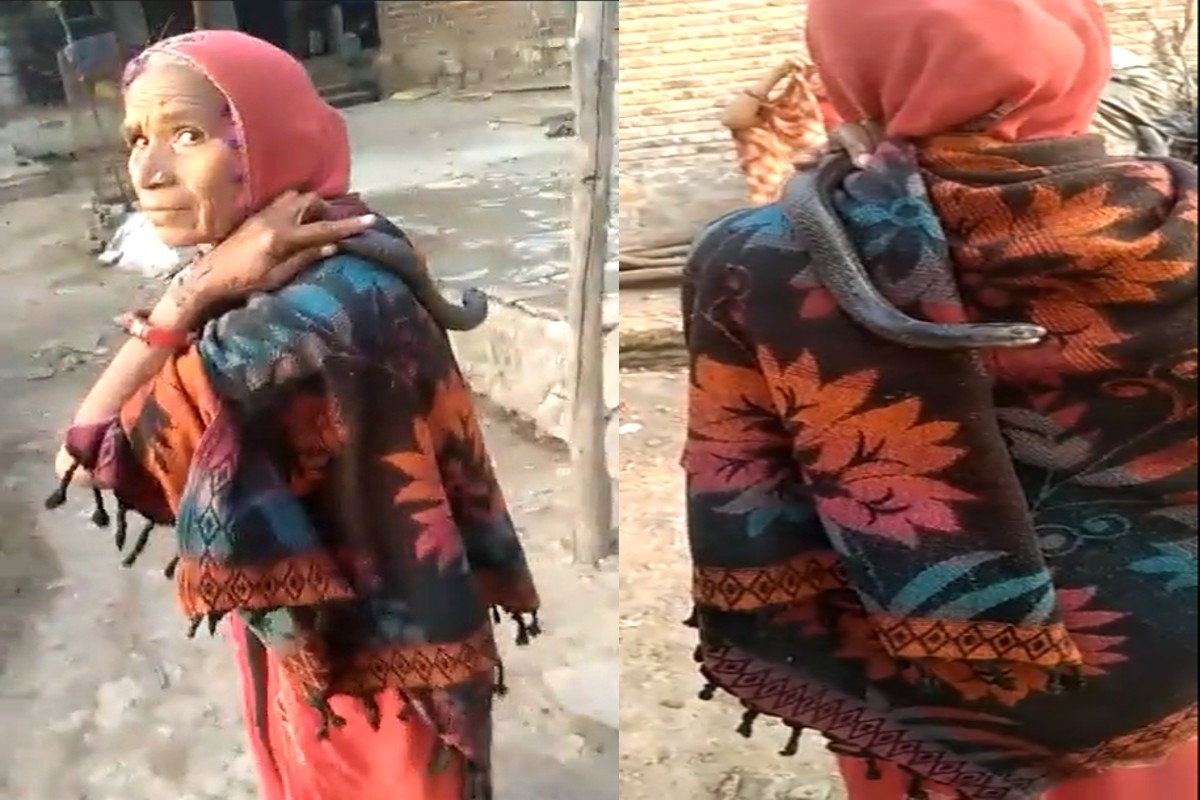 Woman with Snake: सांप को कंधे पर घुमा रही थी महिला, पूछने पर दिया ऐसा जवाब जिसे जान हैरान रह जाएंगे आप