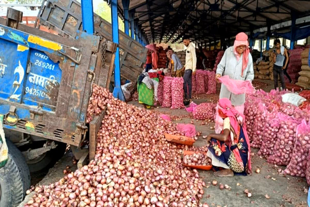 Onion Price Today per KG
