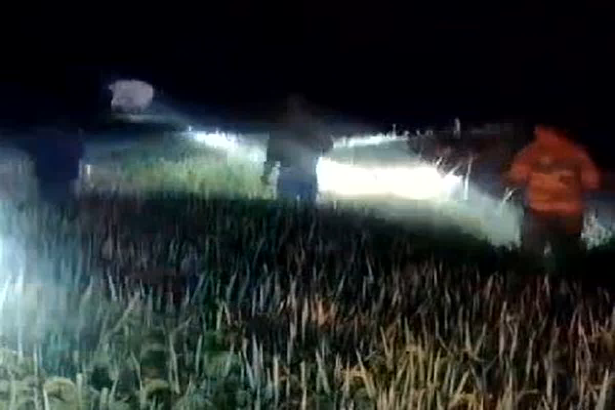 Surajpur News: जिले में घुसा हाथियों का दल, खेतों और फसलों को पहुंचा रहे नुकसान, ग्रामीणों मेें फैला दहशत