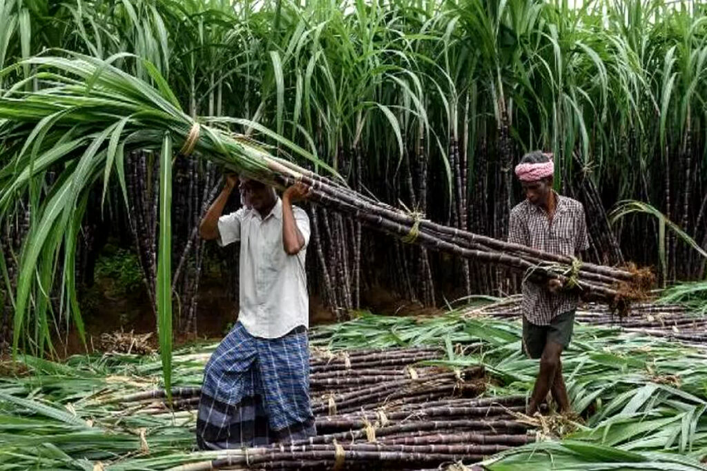 UP farmers will soon get outstanding sugarcane payment