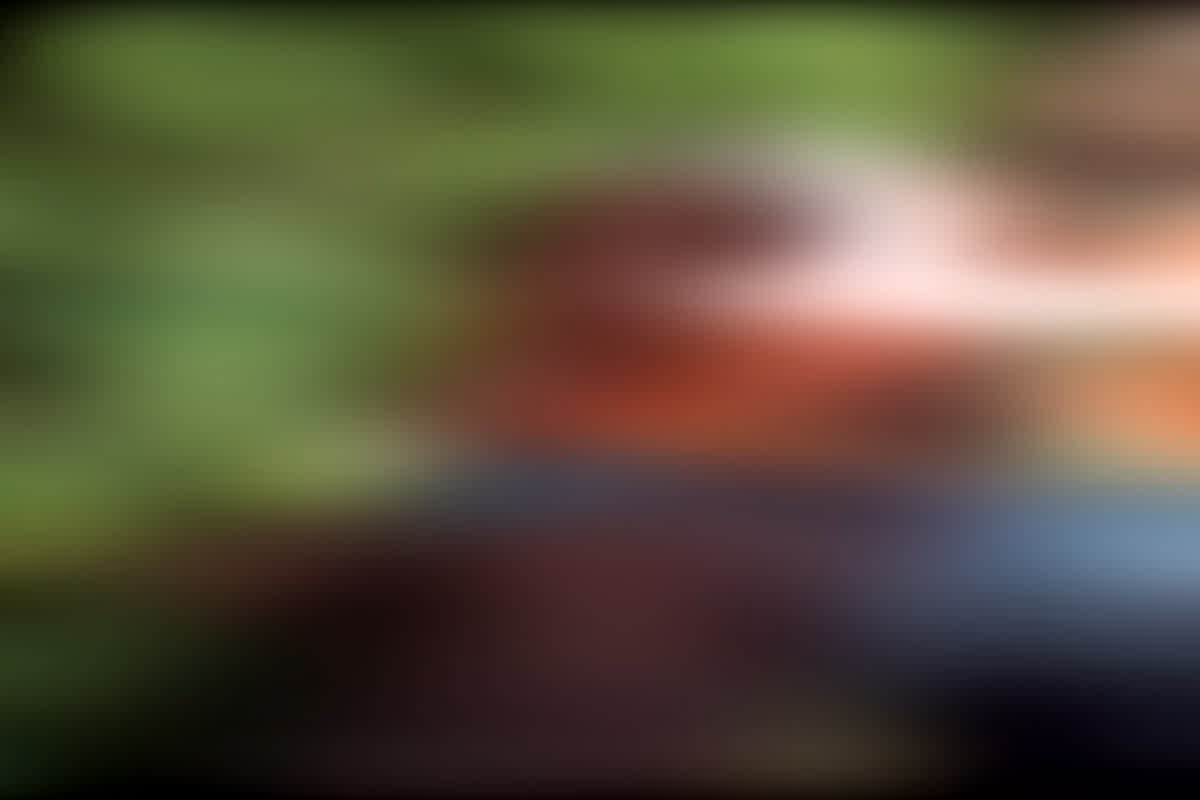 Singrauli News: घर लौट रहे बाप-बेटे के साथ हो गया ये कांड, लहुलूहान हालत में पिता को पहुंचाया गया अस्पताल, ये है पूरा मामला