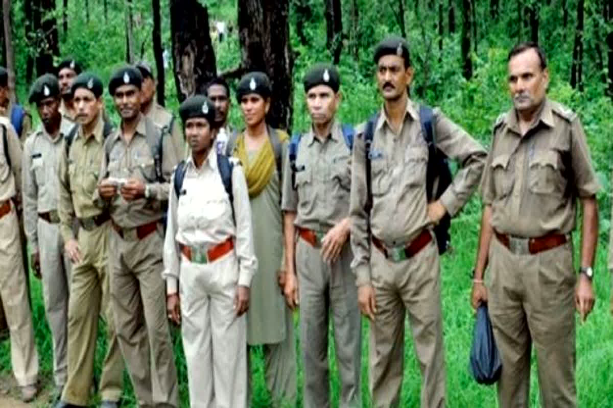 MPPSC State Forest Service 2023: राज्य वन सेवा परीक्षा का नोटिफिकेशन जारी, उम्मीदवार इस दिन से कर सकेंगे आवेदन