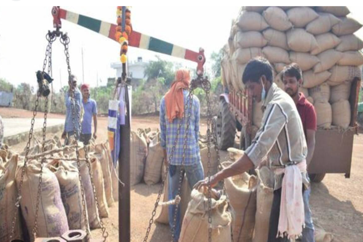 Paddy purchase in Chhattisgarh: छत्तीसगढ़ में 1 नवंबर से शुरू होगी धान खरीदी, बिना बायोमेट्रिक के होगी धान खरीदी, जारी हुआ आदेश