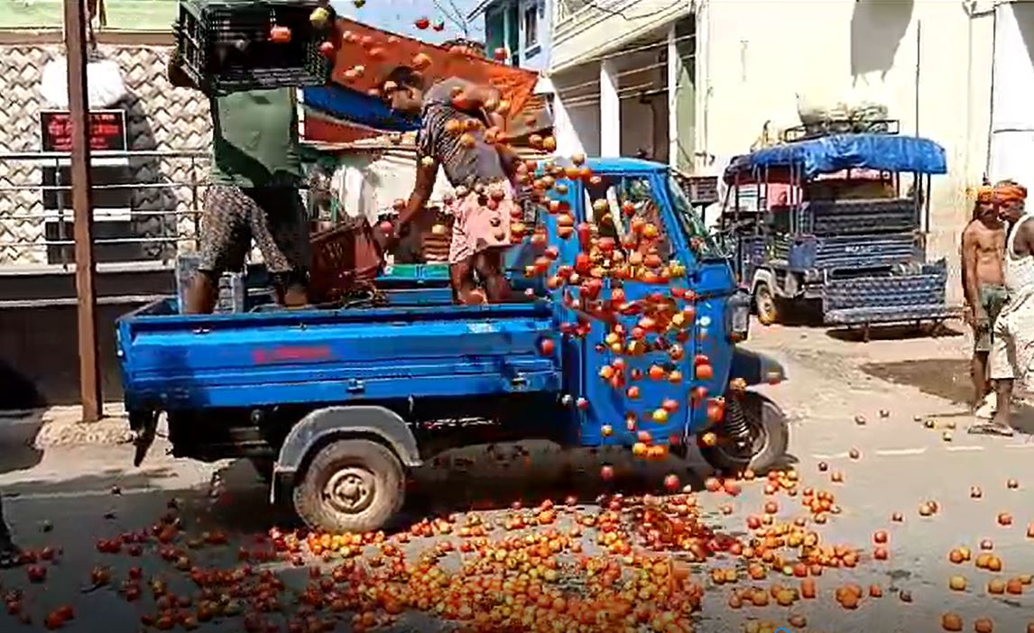 किसानों ने सड़कों पर फेंका 200 रुपए किलो वाला टमाटर! बोले- अब पौधों को भी उखाड़ फेंकेंगे..जानें वजह