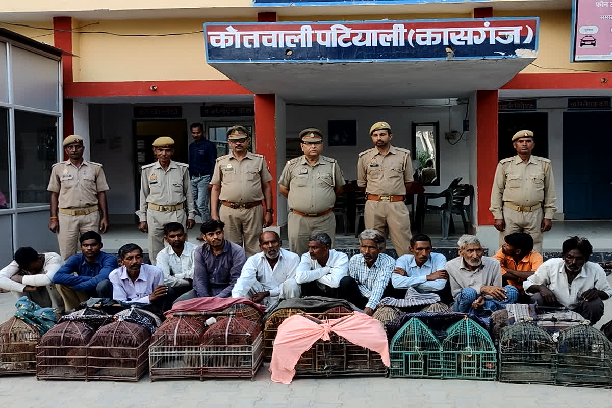 satta matka: तीतरबाजों पर पुलिस की बड़ी कार्रवाई, ऐसे लगाते थे जीत-हार पर दांव, नगदी समेत 12 सटोरिए गिरफ्तार…