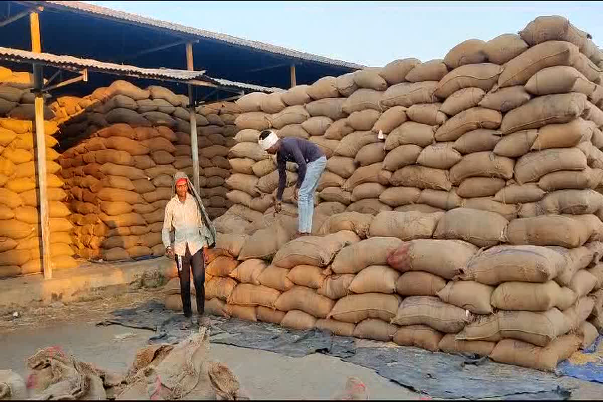 Balaghat Paddy Storage: धान के भंडारण में लापरवाही बरतने पर तीन लोगों पर FIR दर्ज, करोड़ों रुपए की धान में की अफरा-तफरी