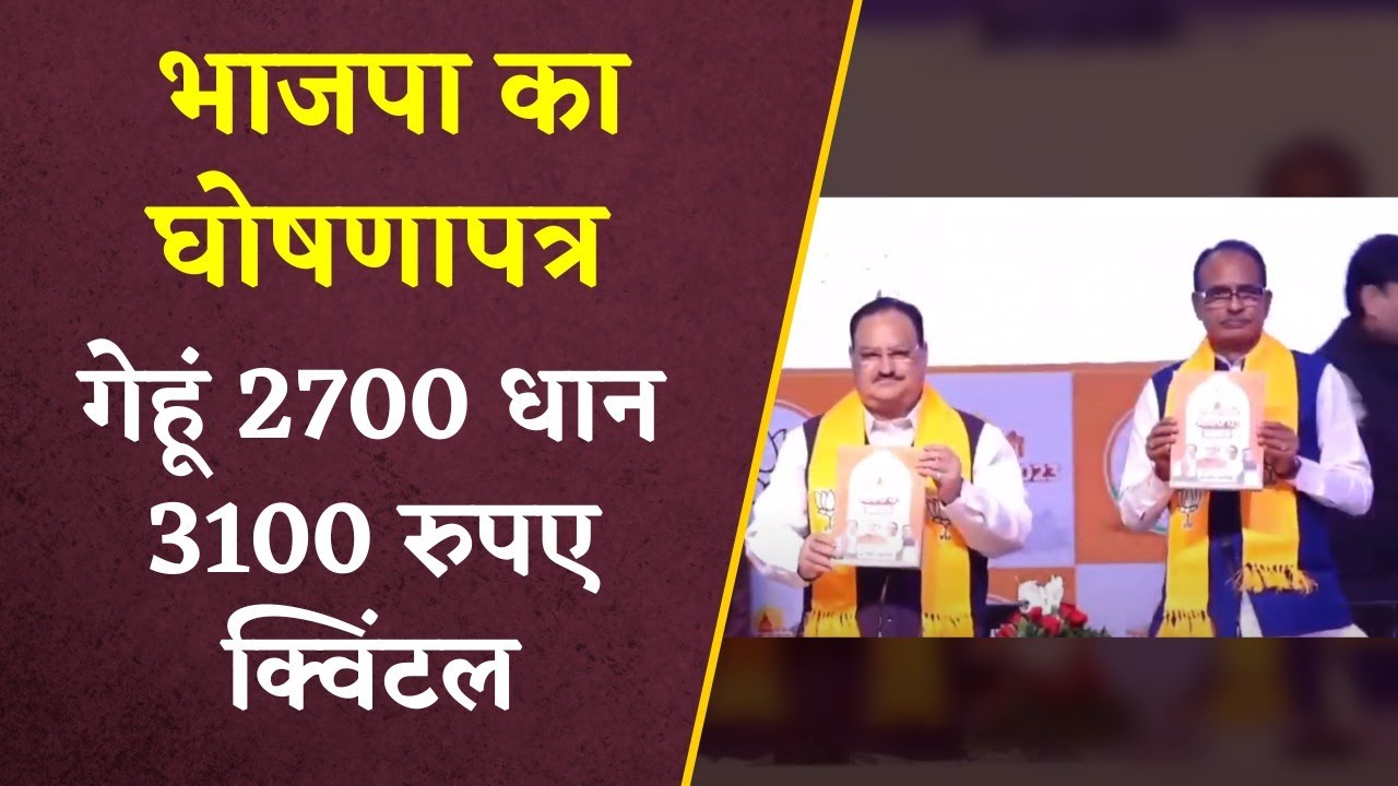 MP BJP Manifesto: BJP Ghoshna Patra: BJP का घोषणा पत्र जारी, 3100 रु में होगी धान खरीदी