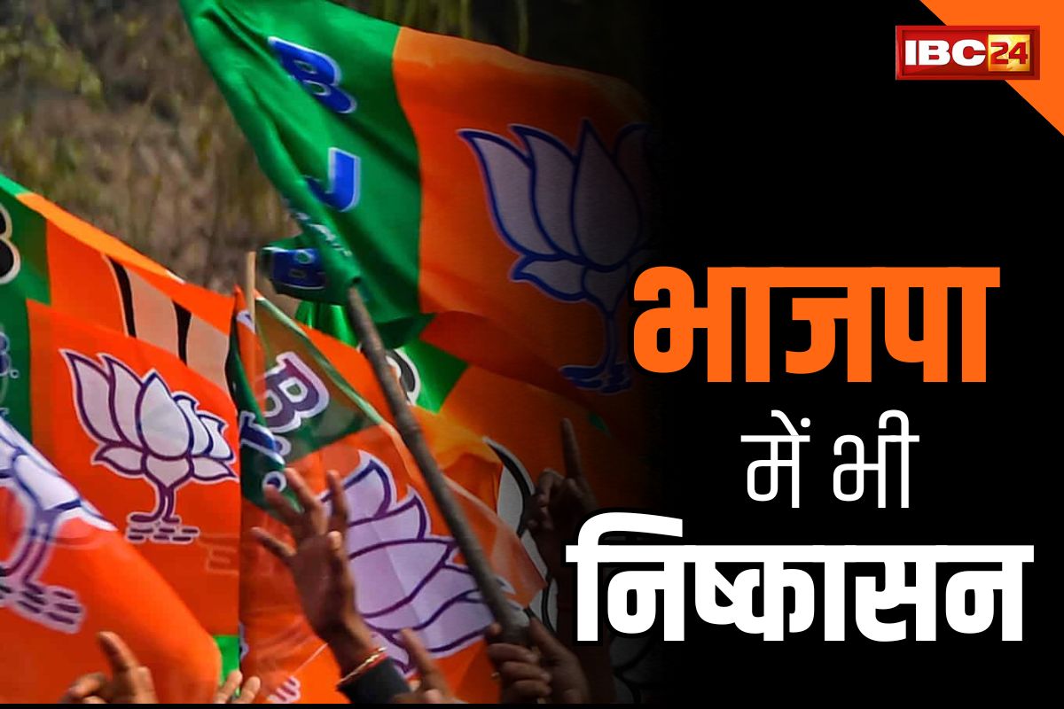 CG BJP Election News: अब BJP में शुरू हुआ निष्कासन.. पार्टी उम्मीदवार के खिलाफ चुनावी ताल ठोंकने वाली महिला नेत्री 6 साल के लिए सस्पेंड