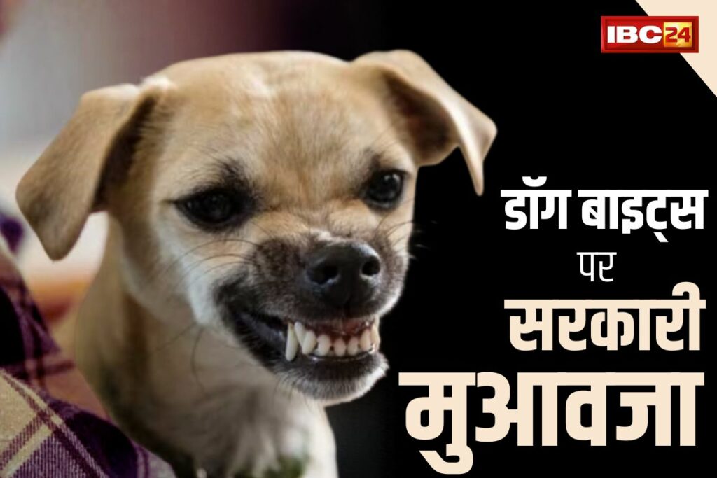 Compensation On Dog Bites