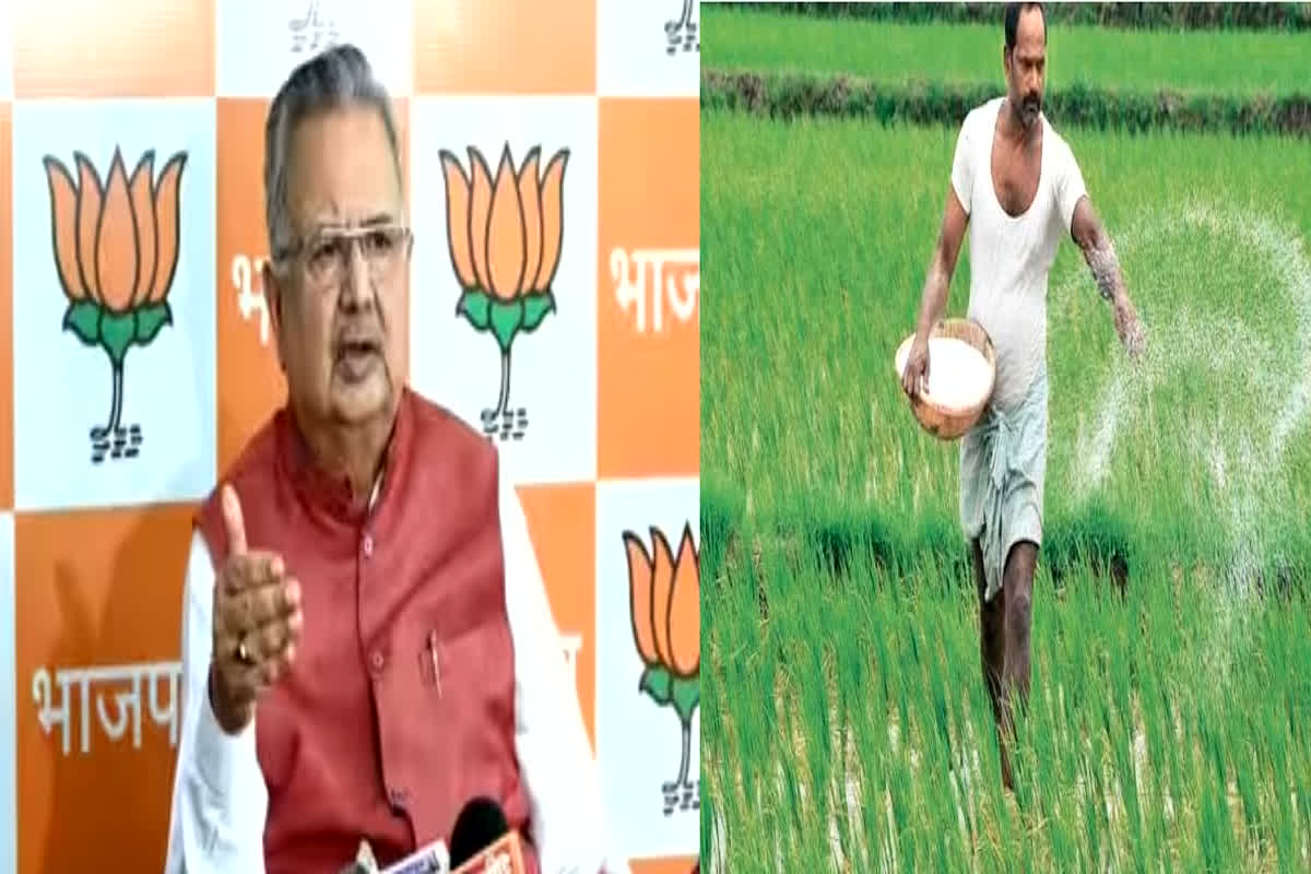 Bjp Sankalp Patra 2023: भाजपा के संकल्प पत्र में किसानों के लिए बड़ी खबर, पार्टी कर सकती है रमन शासन के समय का बोनस देने का ऐलान!
