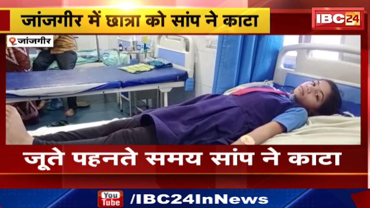 Snakes Bite in Janjgir : छात्रा के जूते में छिपा था सांप..पहनते समय काटा | परिजनों ने अस्पताल में भर्ती कराया