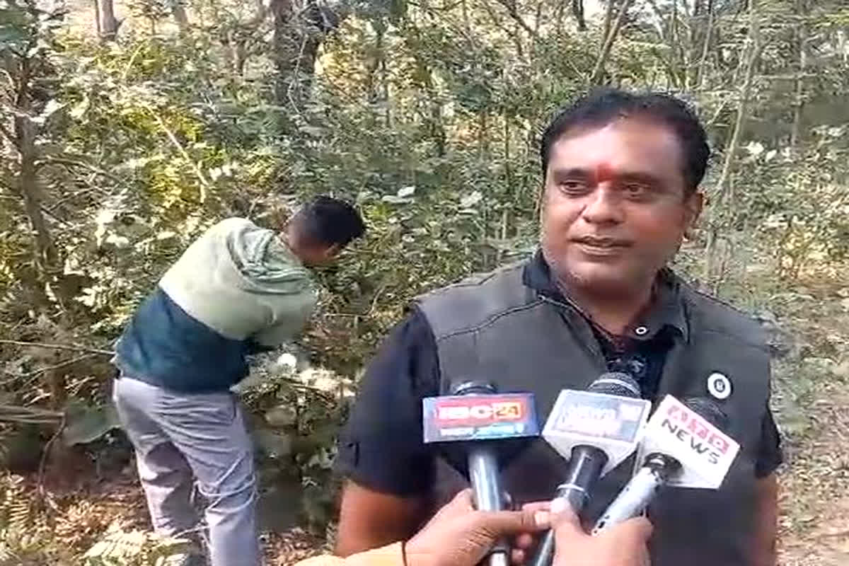 Ambikapur Tree Cutting: जो देते थे वनों को बचाने की नसीहत, अब खुद काट रहे हैं पेड़, जाने इस सवाल पर क्या कहा एसडीओ मैडम ने