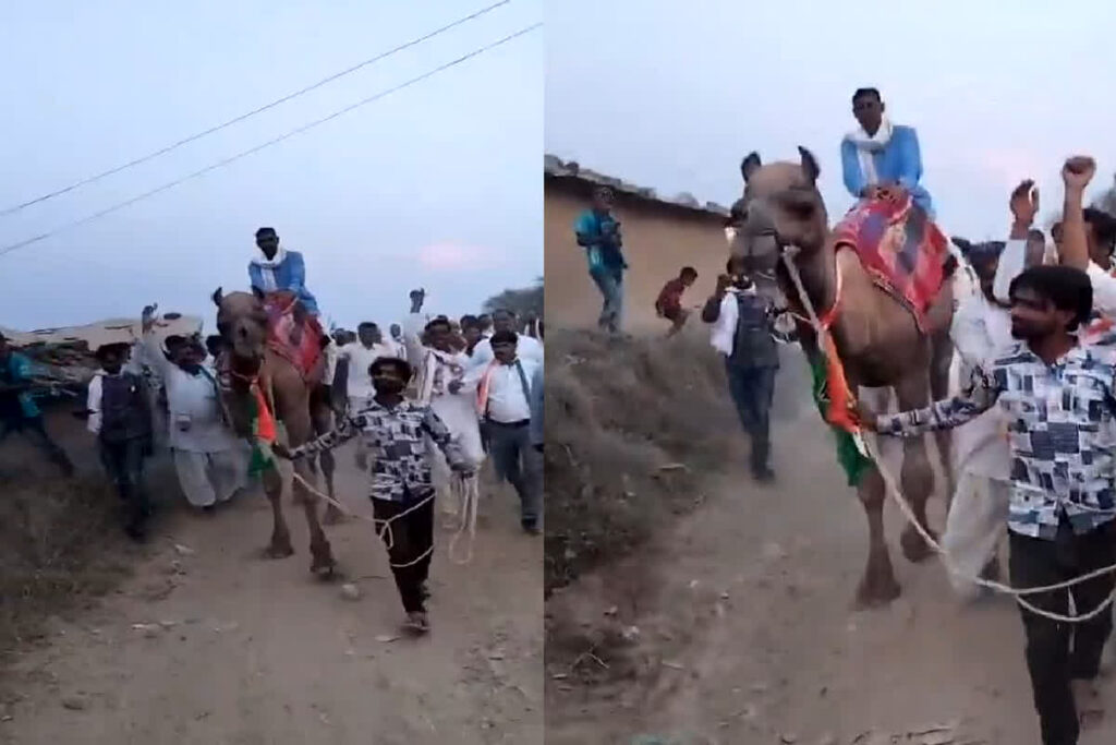 MLA Babu Jandel Video Viral