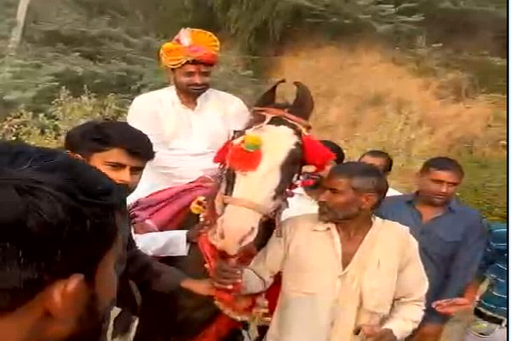 MP Assembly Election 2023