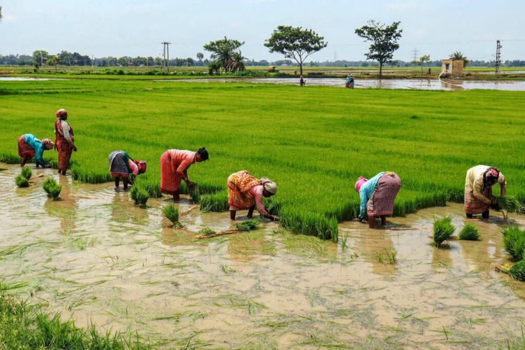 CG Farmer Loan