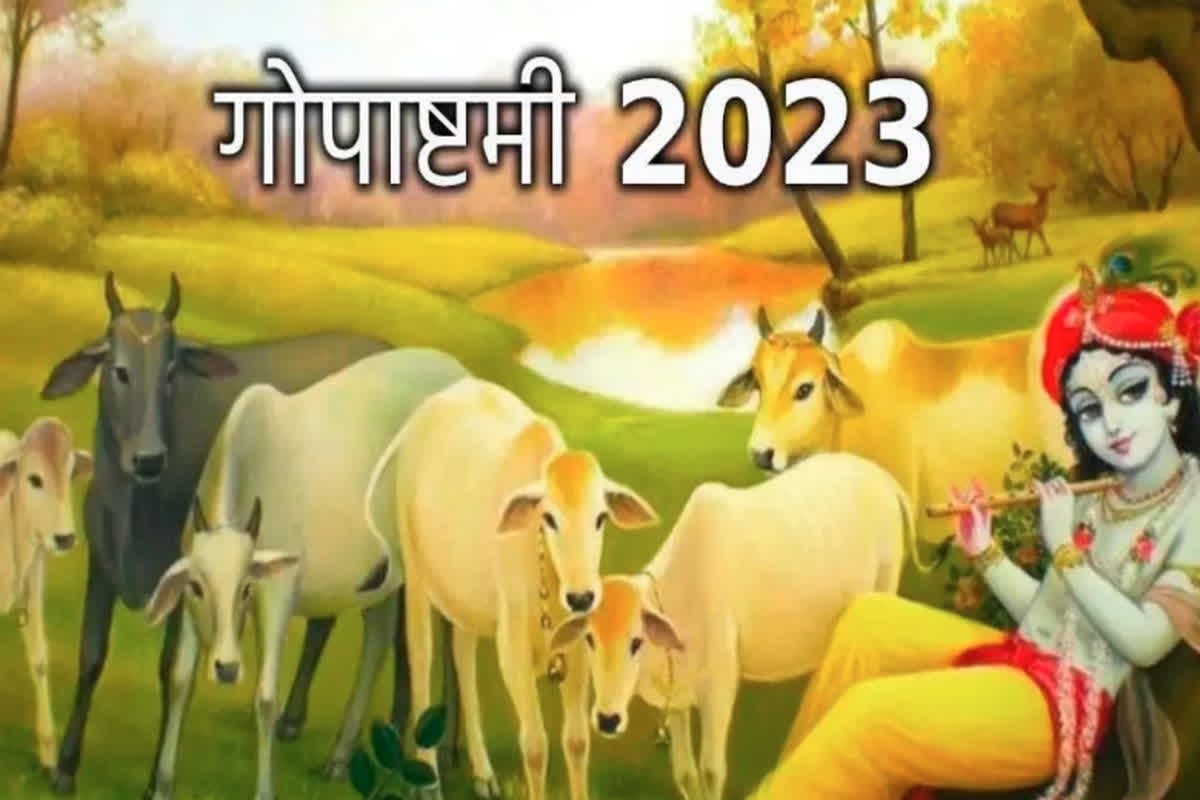 Gopashtami 2023: आज गोपाष्टमी के दिन करें बस ये 4 आसान उपाय, 33 कोटि देवी देवताओं का मिलेगा आशीर्वाद…