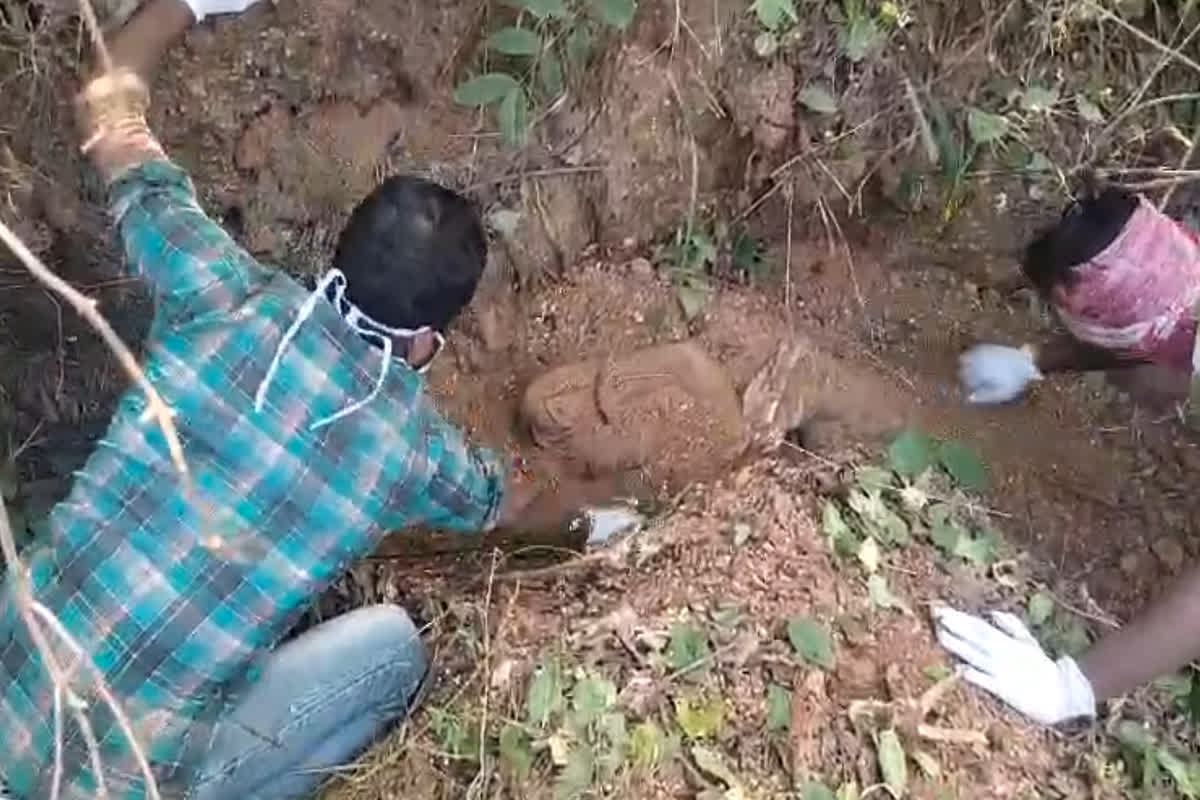 Jashpur Murder News: घर आए रिश्तेदार की हत्या, 5 दिनों से परिजन कर रहे थे खोजबीन, ऐसे हुआ मामले का खुलासा…