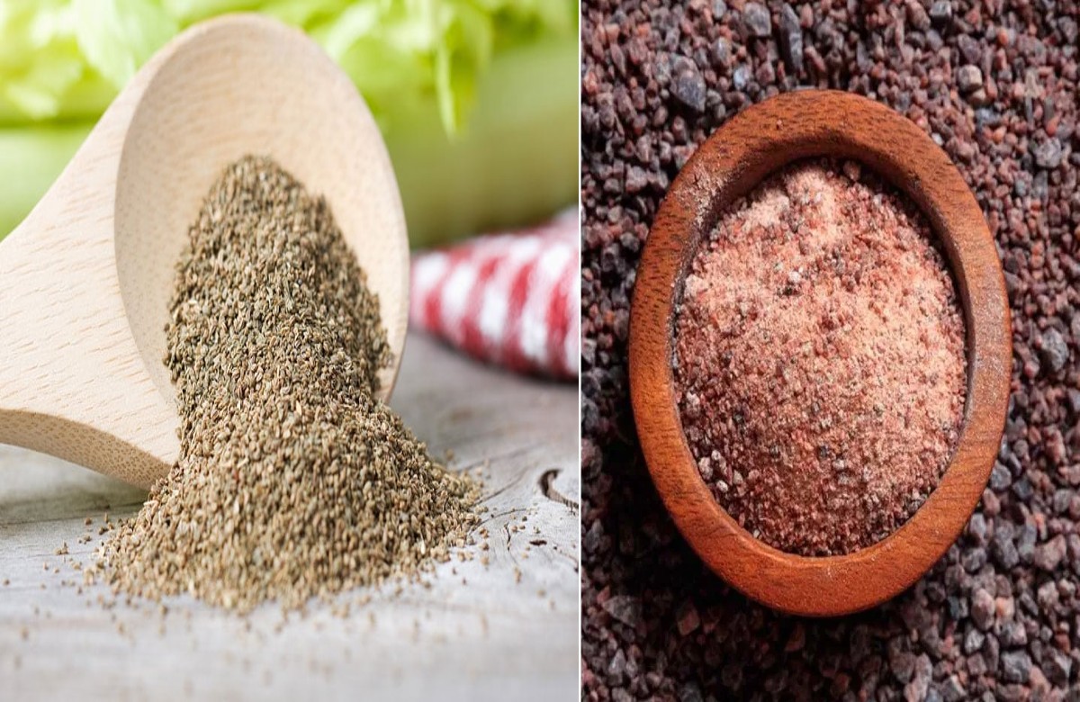 Health Tips : प्रतिदिन खाएं अजवाइन और काला नमक, यूरिक एसिड के मरीजों को मिलेंगे ये 3 फायदे..