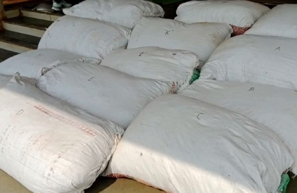 Illegal Ganja Seized