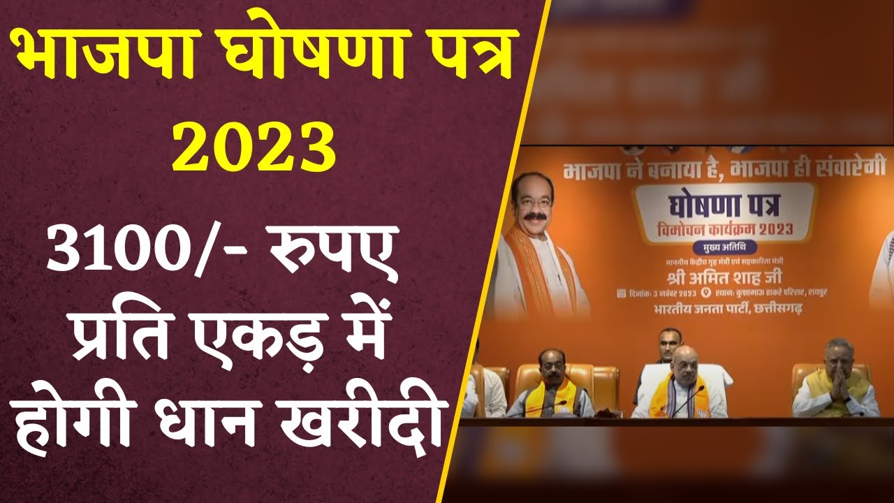 CG BJP Manifesto Final: CG BJP ने खोला वादों का पिटारा, 3100 रुपए में करेंगे धान खरीदी