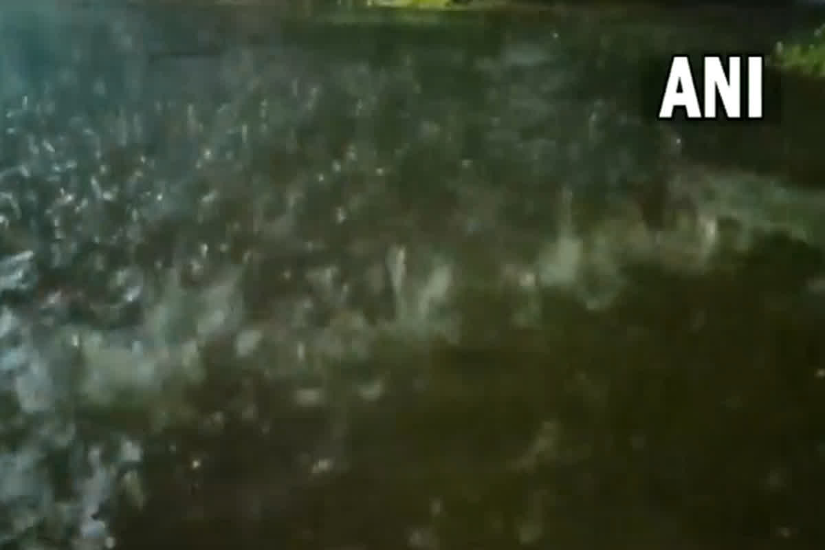 Tamil Nadu Weather Update: कड़ाके की ठंड में झमामझ बारिश, प्रदेश के इन इलाकों में भरा पानी, IMD का अलर्ट जारी…