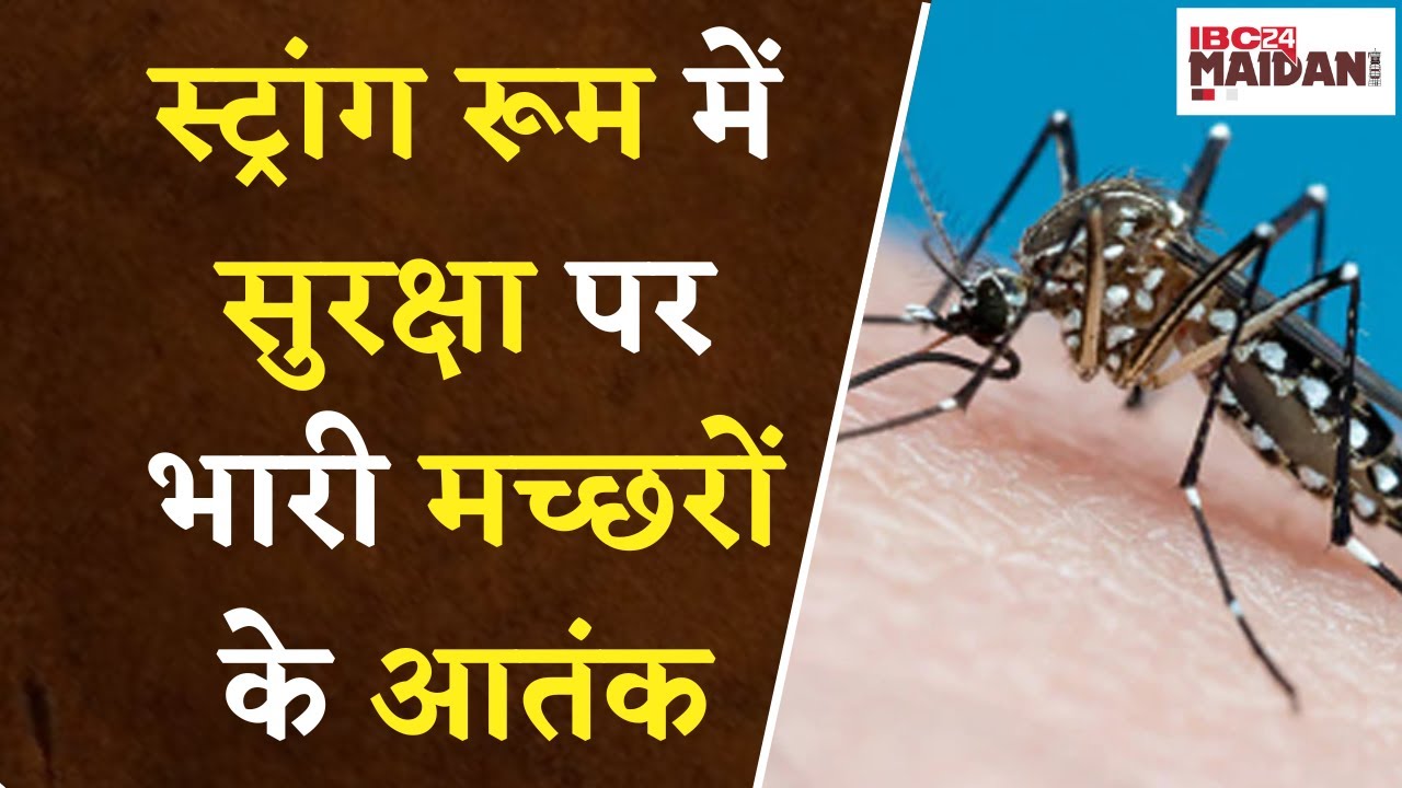 Bhilai में मच्छरों का कहर: Congress ने मच्छरदानी लाई, BJP ने Hi-tech AC Van से किया सुरक्षा इंतजाम।
