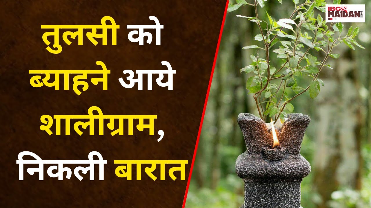 Bhilai में धूमधाम से मनाई गई Tulsi विवाह, Shaligram और Tulsi के साथ मिलकर बनी एक अद्वितीय बारात।