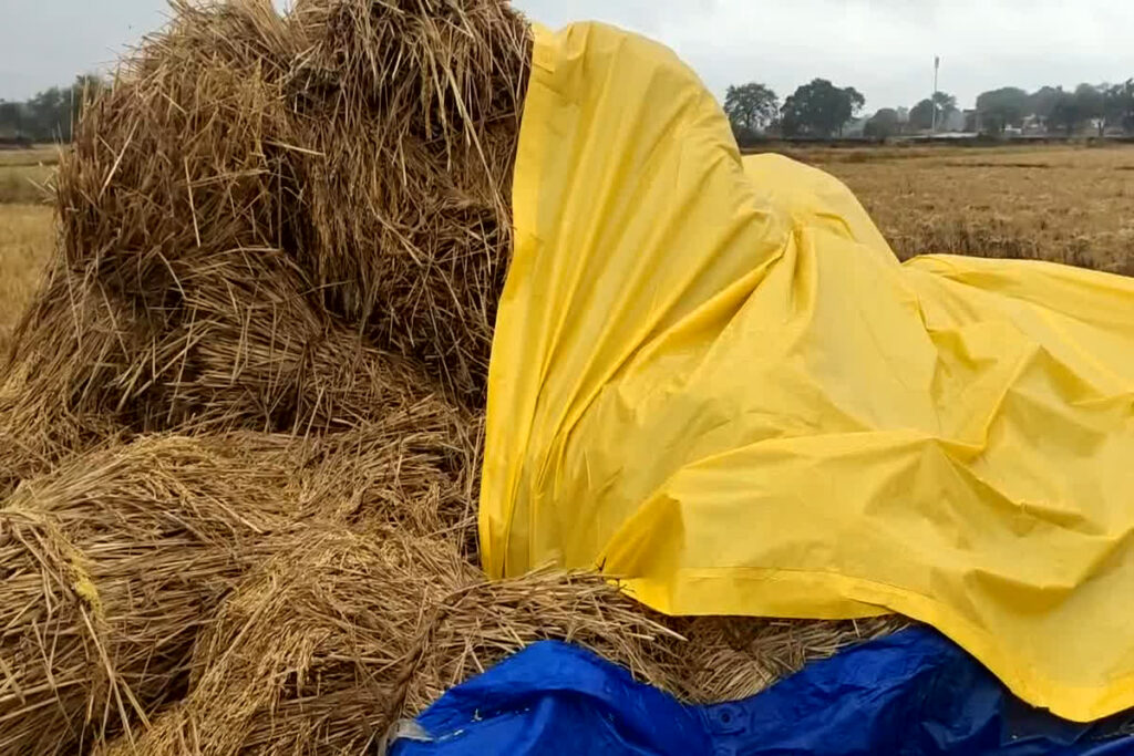 Cyclone Michaung In Bastar