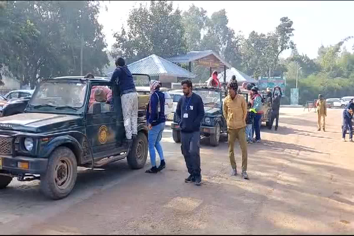 Panna Tiger Reserve: नए साल के आगमन से पहले ही पन्ना टाइगर रिजर्व में लगी लोगों की भीड़, देश के कोने-कोने से पहुंच रहे पर्यटक