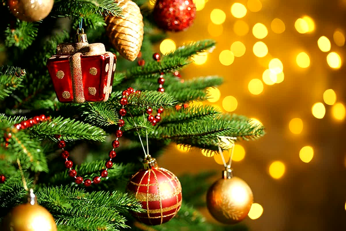 Christmas Tree Vastu Tips: घर में इस जगह पर ना रखें क्रिसमस ट्री, वास्तु शास्त्र के अनुसार जानें क्या है सही दिशा और नियम…