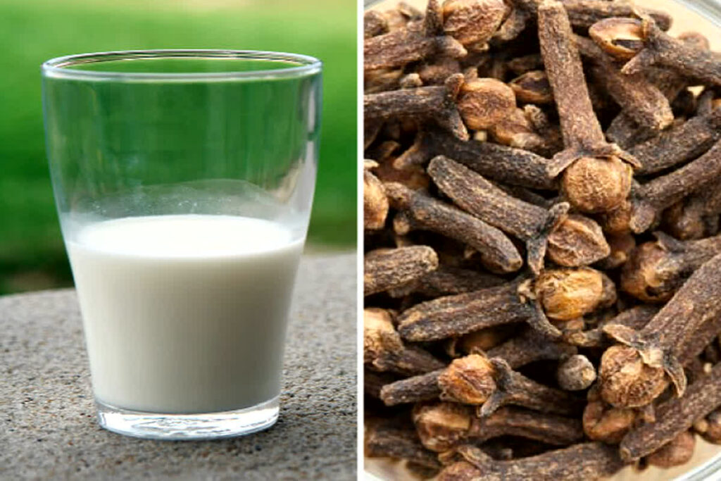 Clove Milk Benefits