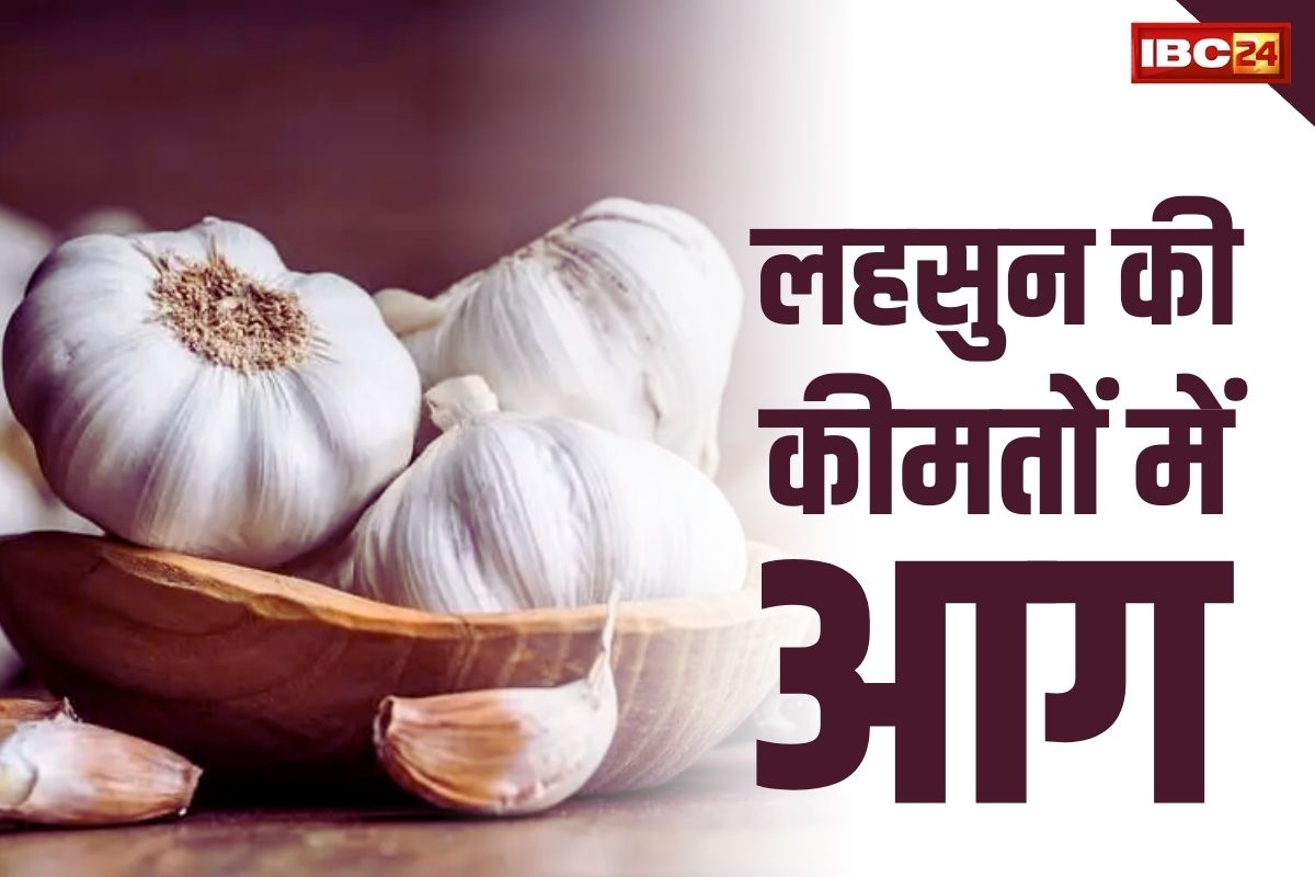 Lahsun Latest Rate: टमाटर, प्याज के बाद अब लहसुन की कीमतों में लगी आग.. यहाँ 4 सौ रुपये किलो तक हुई दर