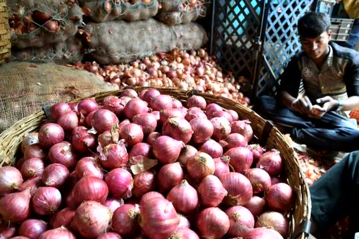 Onion Price: लो भाई… नए साल से पहले धड़ाम से गिरे प्याज के भाव, 5 रुपये प्रति किलो हुए दाम
