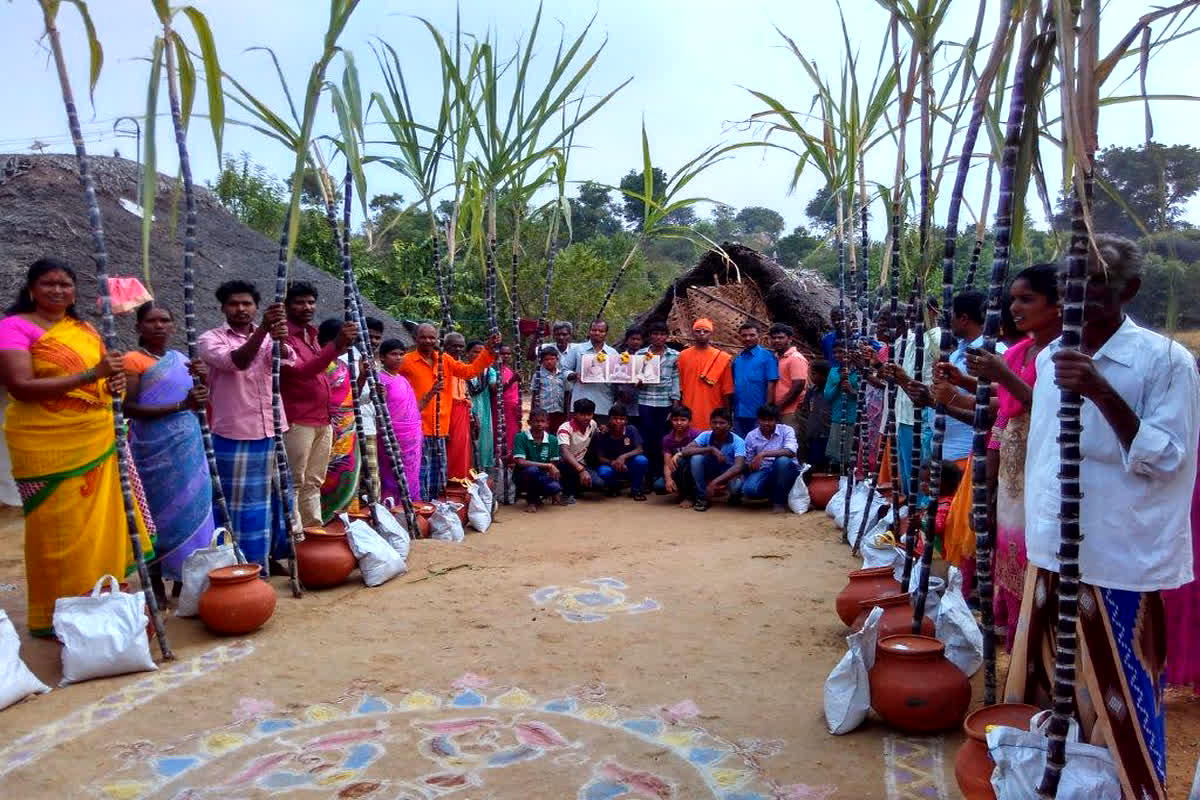 Pongal 2024: कब है पोंगल..? यहां देखें शुभ मुहूर्त और महत्व